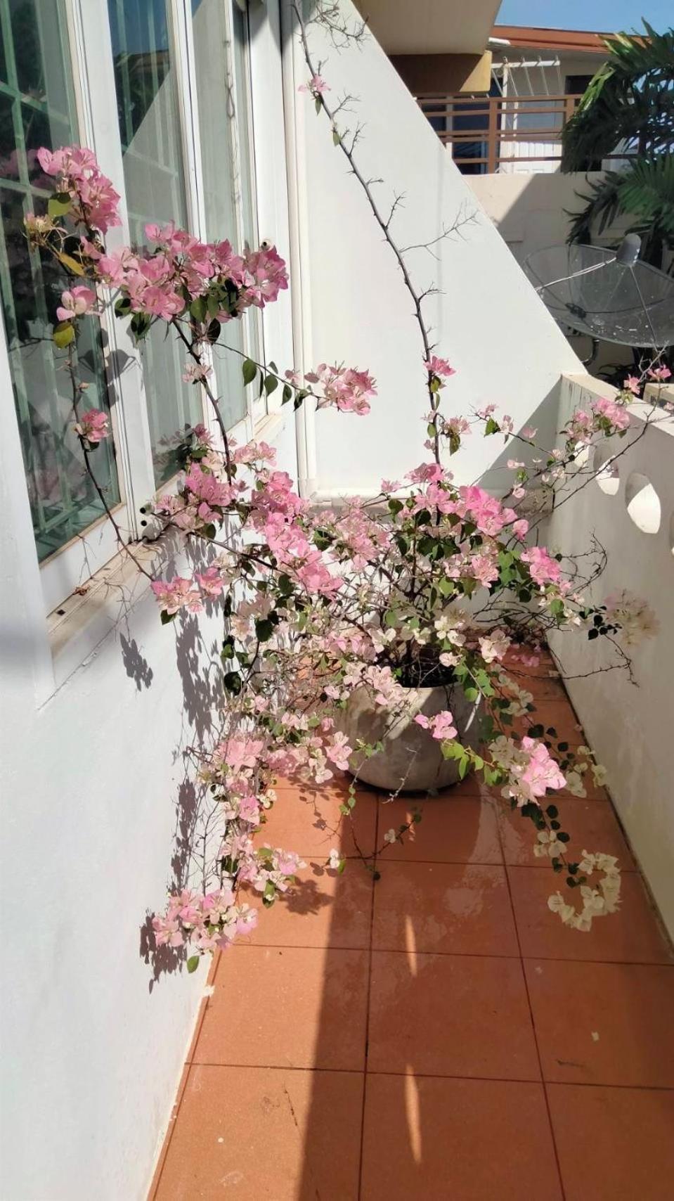 Little Jasmine By The River Phitsanulok Exterior photo